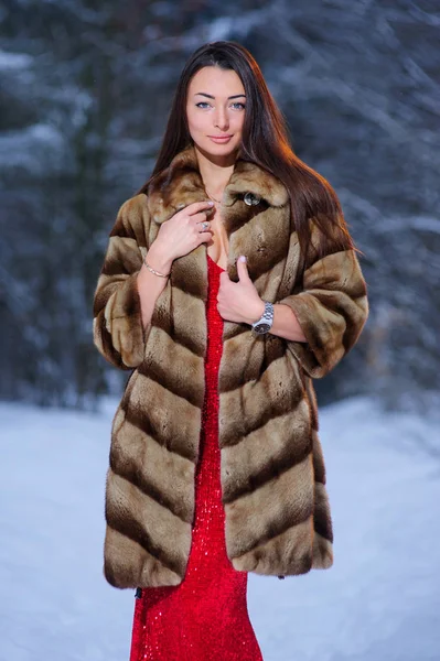 Mooie Mooie Jonge Vrouw Winter Forest — Stockfoto