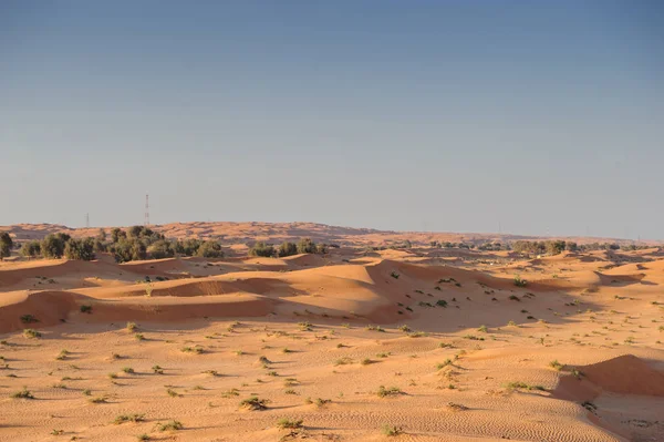 Dunas amarillas en el desierto suunset — Foto de Stock