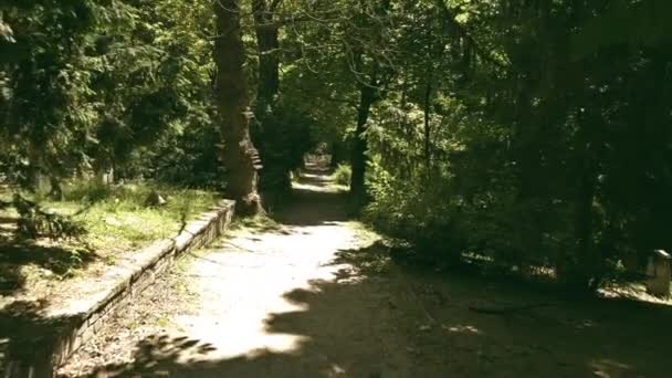 FPV caminar a lo largo del sendero del parque — Vídeos de Stock