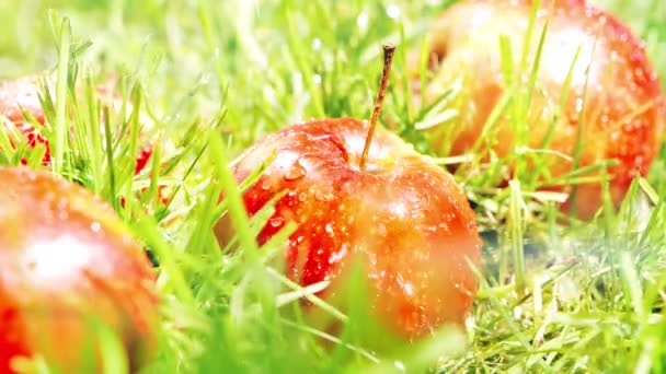 Stromende water op de rode appels op het gras, slow-motion shot — Stockvideo