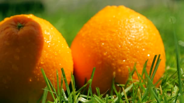 Slow motion shot of ripe orange falling on the grass — Stock Video