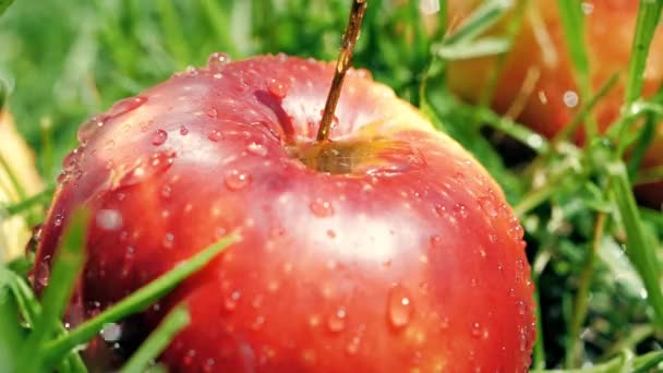 Disparo en cámara lenta de gotas de agua golpeando manzana roja madura — Vídeos de Stock