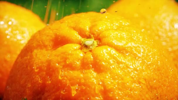 Slow motion macro shot of water splashes on orange — Stock Video