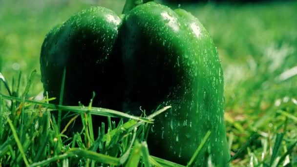 Slow motion makro skott av våt grön paprika faller på gräset — Stockvideo