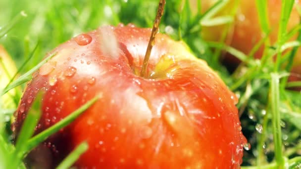 Sprinkling água na maçã vermelha, tiro macro câmera lenta — Vídeo de Stock