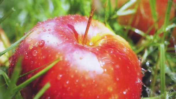 Kırmızı elma düşen ağır çekim shot su damlaları — Stok video