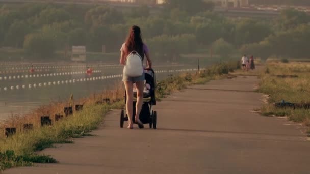 Beautiful young woman pushing stroller along waterfront pathway — Stock Video