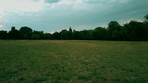 公園草地の空中の低高度のフライバイ — ストック動画