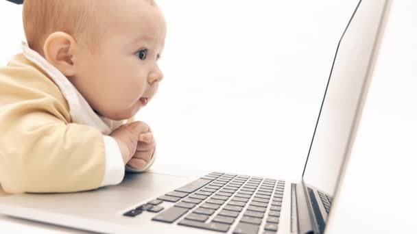 Enfocado niña trabaja en un ordenador portátil — Vídeo de stock