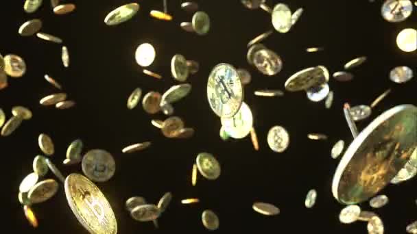Padající mince bitcoin. Loopable pohybu pozadí — Stock video