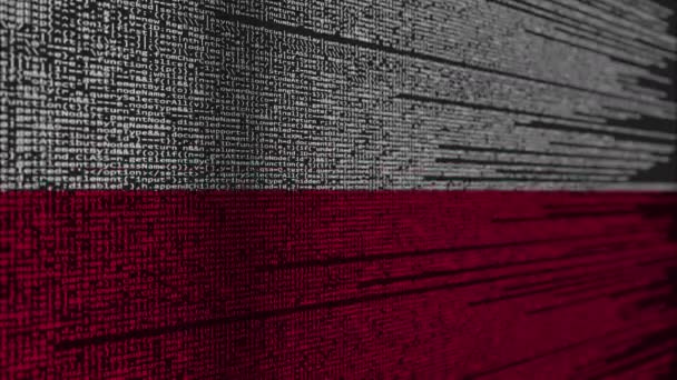 Programkod och under polsk flagg. Polska digital teknik eller programmering relaterade loopable animation — Stockvideo