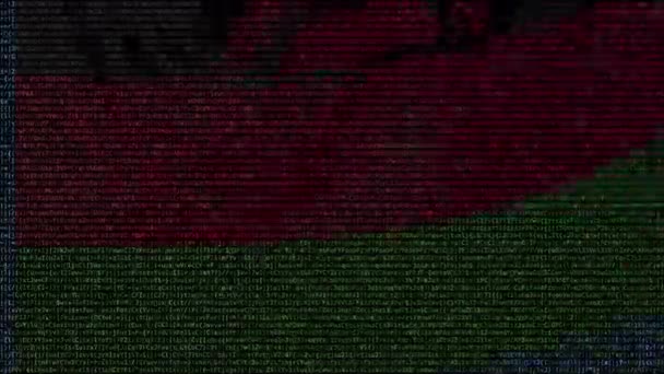 Ondeando la bandera de Malawi hecha de símbolos de texto en la pantalla de una computadora. Animación conceptual loopable — Vídeo de stock