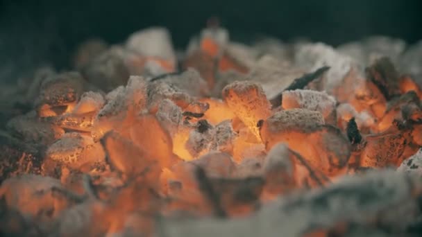 Vörös forró parázs vagy Izzó fadarab, barbecue, zár-megjelöl szemcsésedik — Stock videók