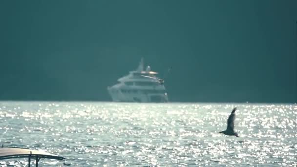 Seagulls flying against distant luxury yacht, slow motion shot — Stock Video