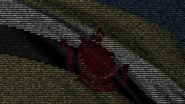 Waving flag of Brunei made of text symbols on a computer screen. Conceptual 3D rendering — Stock Photo, Image