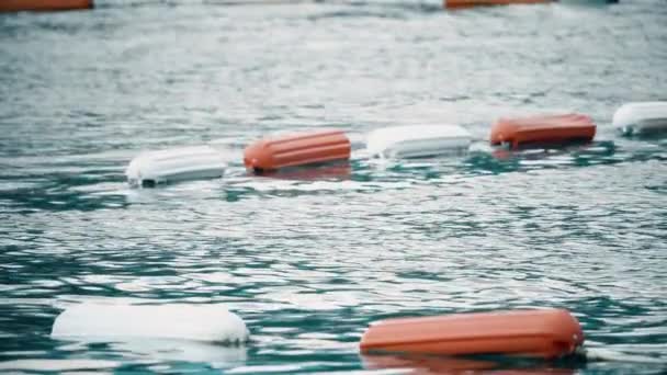 Fronteira da área de natação no mar marcada com bóias flutuantes — Vídeo de Stock