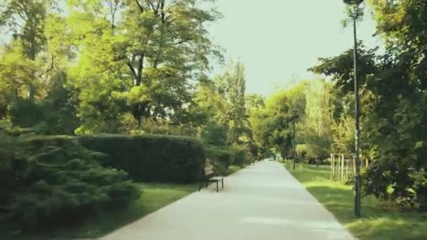 夏天的公园小路上的视角骑行 — 图库视频影像