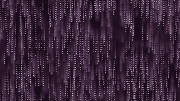Caída de símbolos de código de ordenador púrpura en la pantalla. Renderizado 3D —  Fotos de Stock