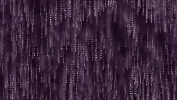 Queda de símbolos de código de computador roxo na tela — Vídeo de Stock