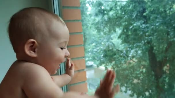 Bébé heureux regardant la pluie derrière la fenêtre de la maison — Video