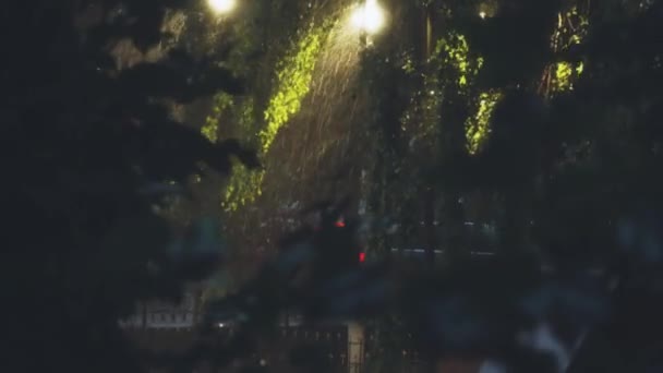 Lluvia fuerte en el parque de la ciudad por la noche — Vídeos de Stock