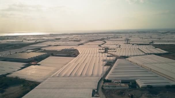 Вид с воздуха на огромные теплицы вблизи Альмерии, Испания — стоковое видео