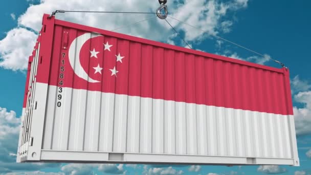 Container mit Flagge von Singapore. singaporeanische Import oder Export bezogene konzeptionelle 3D-Animation — Stockvideo