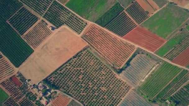 Luchtfoto top-down mening van kleurrijke kassen, velden en boomgaarden patroon in Spanje — Stockvideo