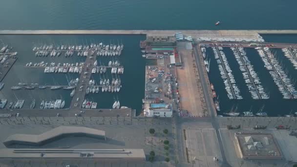 卡塔赫纳码头帆船鸟图 — 图库视频影像