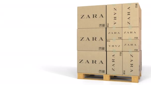 Pola z logo Zara na palecie. Redakcji animacji 3d — Wideo stockowe