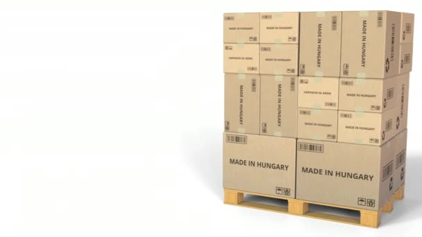 与匈牙利制造的纸箱文本。概念3d 动画 — 图库视频影像