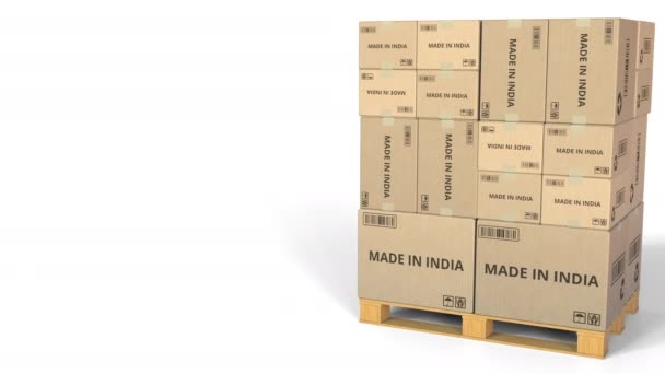 MADE IN INDIA text on warehouse cartons. 3D animation — Stock Video