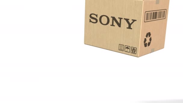 Картонна коробка з Sony логотип. Редакційна 3d анімація — стокове відео