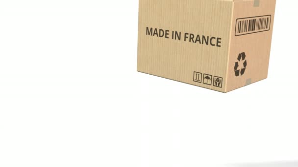 MADE IN FRANCE teks di karton gudang. Animasi 3D — Stok Video