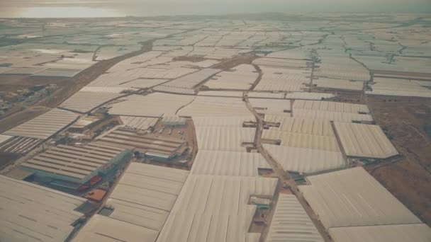 Aerial shot of greenhouse farms near Almeria, Spain — Stock Video