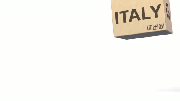 Продукт Італії текст на картонних коробок, пусті місця для підписів. 3D анімація — стокове відео