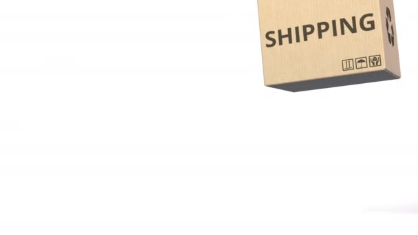 Коробки с надписью DROP SHIPPING. 3D анимация — стоковое видео