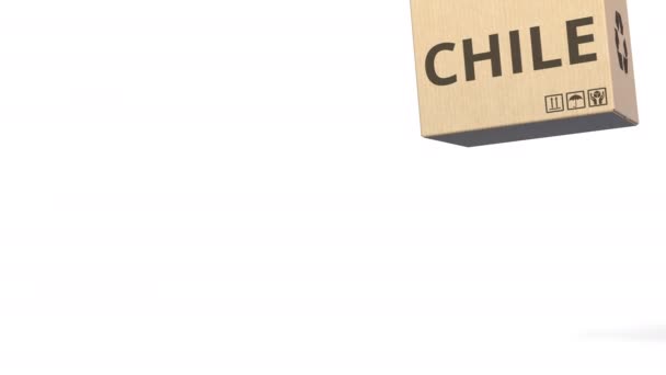PRODUCTO DE CHILE texto en cajas de cartón, espacio en blanco para la leyenda. Animación 3D — Vídeo de stock