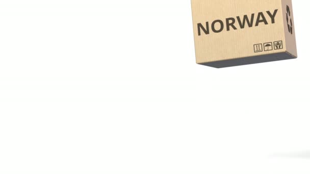 PRODUCT OF NORWAY text on cartons. Conceptual 3D animation — Stock Video