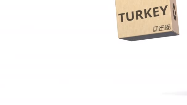 Падающие коробки с текстом PRODUCT OF TURKEY. Концептуальная 3D анимация — стоковое видео