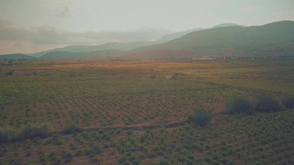 Vista aérea de huertos frutales y viñedos en Sierra Nevada. Andalucía, España — Foto de Stock