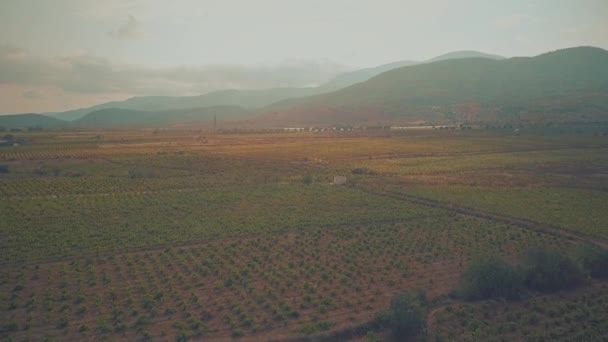 Vista aérea de pomares de frutas e vinhas nas montanhas da Serra Nevada. Andaluzia, Espanha — Vídeo de Stock