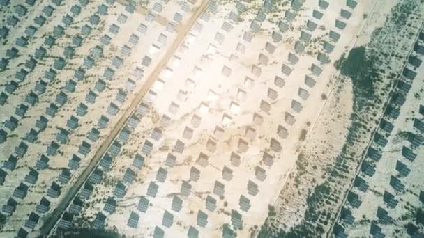 Widok z lotu ptaka paneli słonecznych, odzwierciedlając słońce — Wideo stockowe