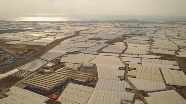 Av växthusgaser gårdar i Almeria, Spanien. Flygfoto — Stockvideo