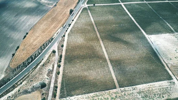 Vista aérea de una autopista y viñedos en Andalucía, España — Foto de Stock