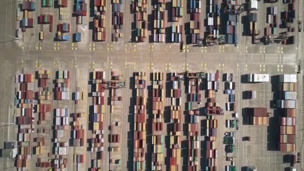 Гиперлапс аэродинамического обзора портового контейнерного терминала — стоковое видео