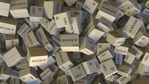 Cartons with SONY logo. Editorial animation — Stock Video
