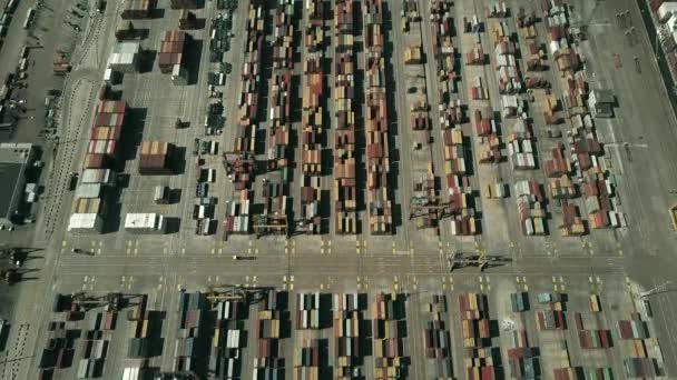 Вид с воздуха контейнерного терминала морского порта — стоковое видео