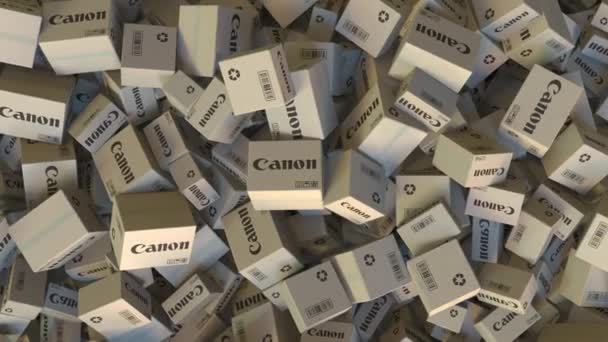 Logo CANON su cartoni impilati. Animazione editoriale — Video Stock