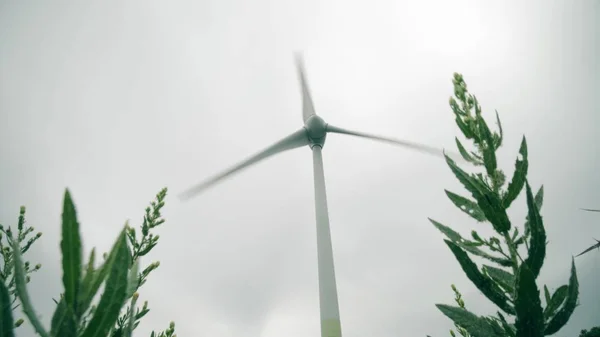 Рабочая ветряная турбина и зеленые электростанции — стоковое фото